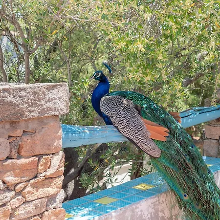 Casa Penthouse Villa