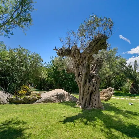 Casa Penthouse Villa Porto Rotondo