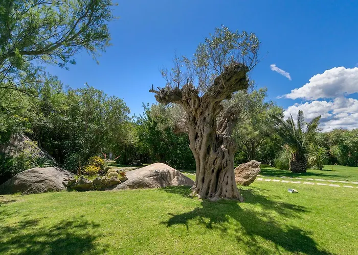 Casa Penthouse Villa Porto Rotondo