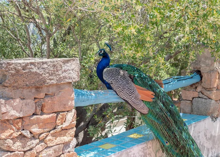 Casa Penthouse Villa